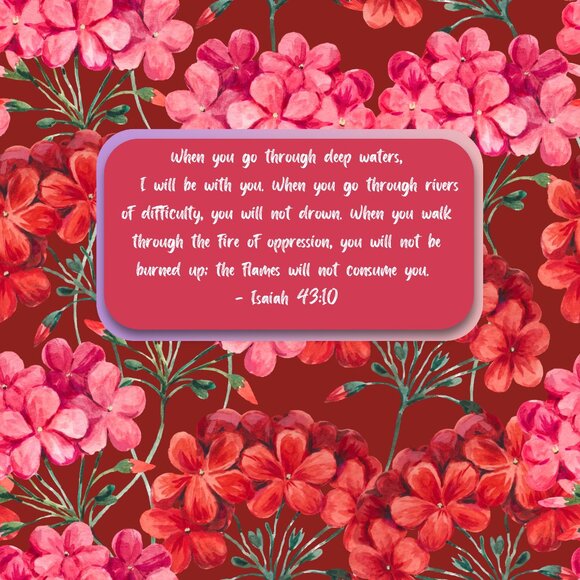 My Book: BLESSED ASSURANCE! HIS PROMISES ARE MINE! - Picture 9 of 12